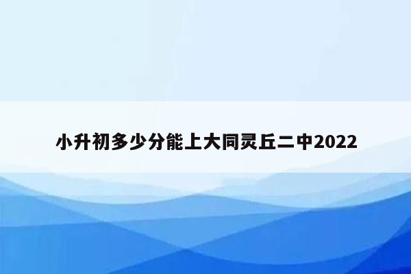 小升初多少分能上大同灵丘二中2022