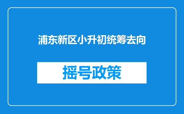 浦东新区小升初统筹去向