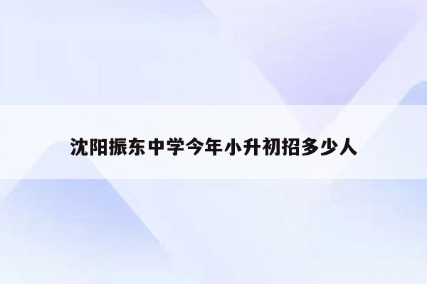 沈阳振东中学今年小升初招多少人