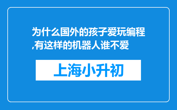 为什么国外的孩子爱玩编程,有这样的机器人谁不爱