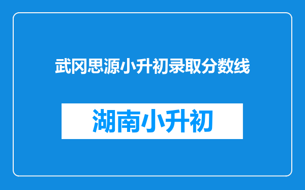 武冈思源小升初录取分数线