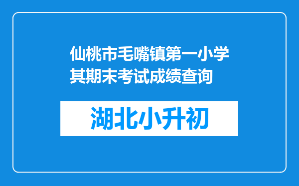 仙桃市毛嘴镇第一小学其期末考试成绩查询