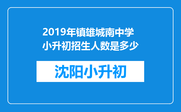 2019年镇雄城南中学小升初招生人数是多少