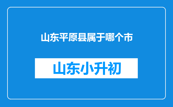 山东平原县属于哪个市