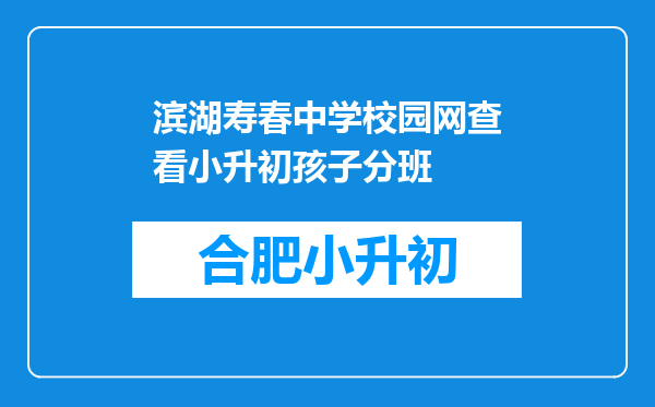 滨湖寿春中学校园网查看小升初孩子分班