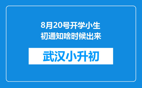 8月20号开学小生初通知啥时候出来