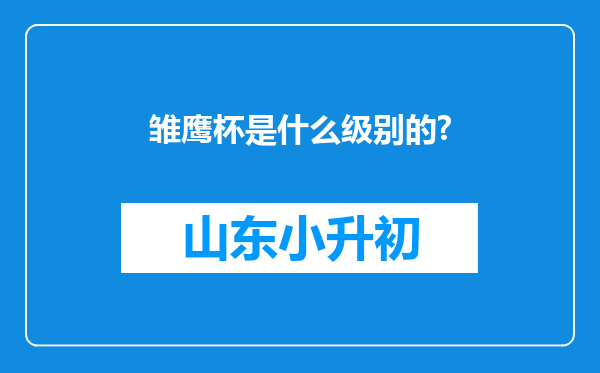 雏鹰杯是什么级别的?