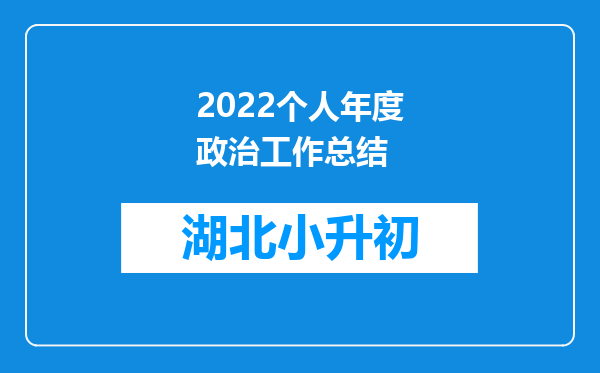 2022个人年度政治工作总结