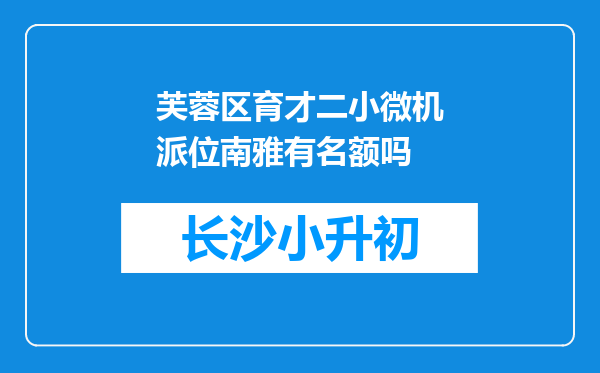 芙蓉区育才二小微机派位南雅有名额吗