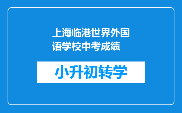 上海临港世界外国语学校中考成绩