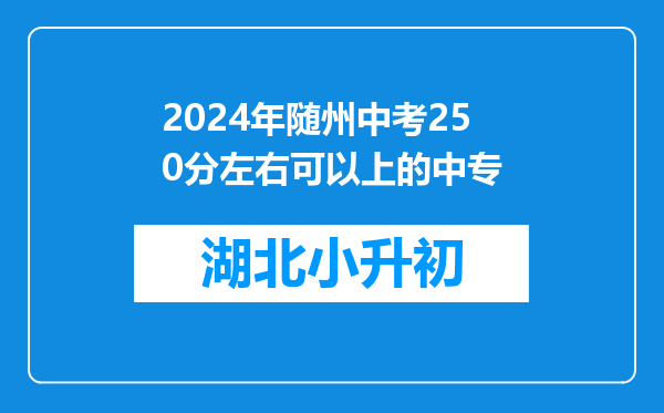 2024年随州中考250分左右可以上的中专