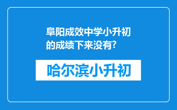 阜阳成效中学小升初的成绩下来没有?