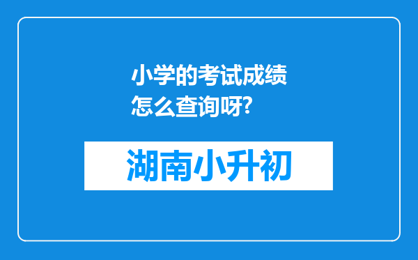 小学的考试成绩怎么查询呀?