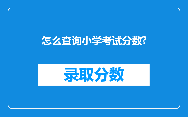 怎么查询小学考试分数?