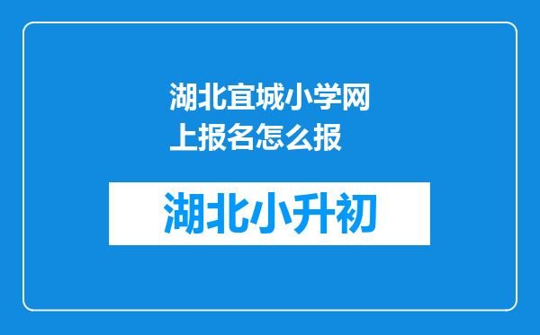 湖北宜城小学网上报名怎么报