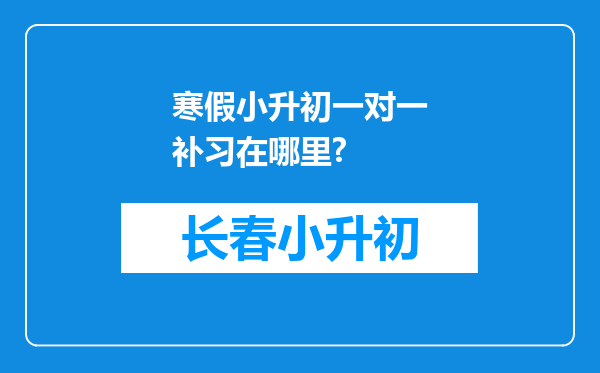 寒假小升初一对一补习在哪里?