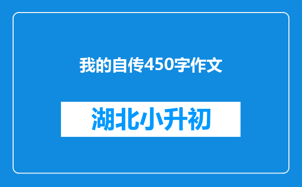 我的自传450字作文