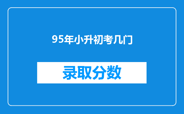 95年小升初考几门