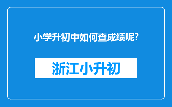 小学升初中如何查成绩呢?