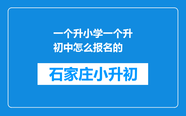 一个升小学一个升初中怎么报名的