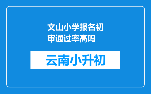 文山小学报名初审通过率高吗