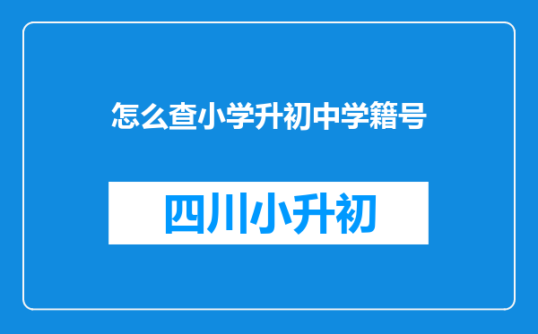 怎么查小学升初中学籍号