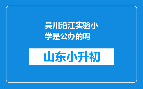 吴川沿江实验小学是公办的吗