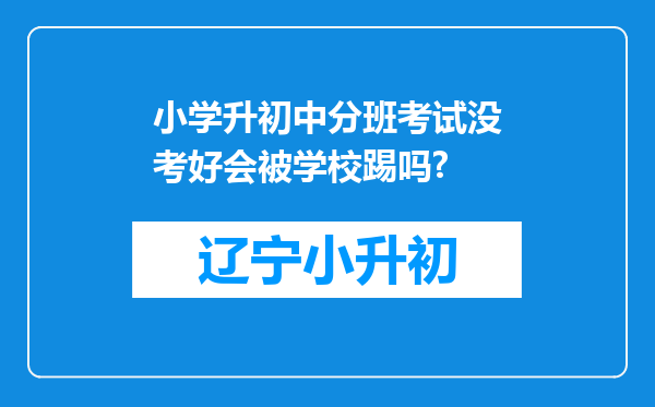 小学升初中分班考试没考好会被学校踢吗?