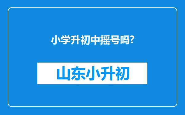 小学升初中摇号吗?