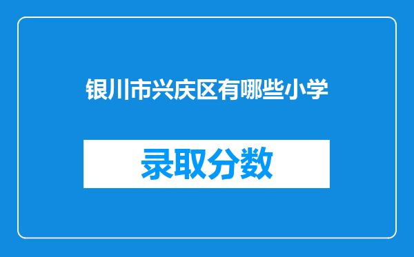 银川市兴庆区有哪些小学