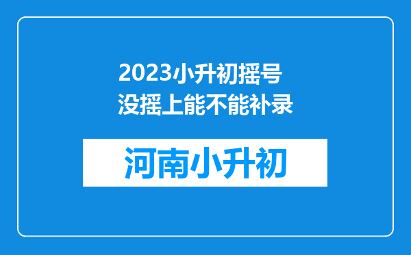 2023小升初摇号没摇上能不能补录