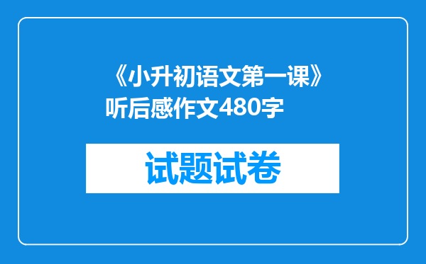 《小升初语文第一课》听后感作文480字