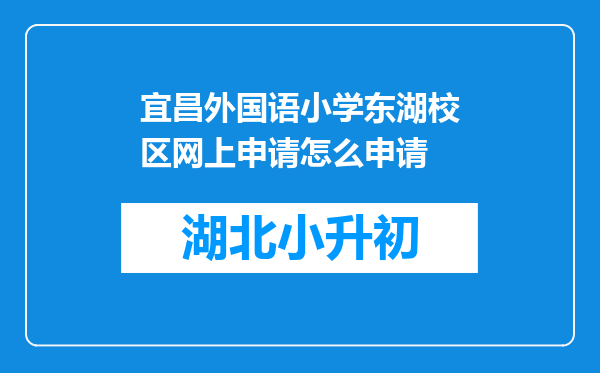 宜昌外国语小学东湖校区网上申请怎么申请