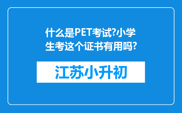 什么是PET考试?小学生考这个证书有用吗?