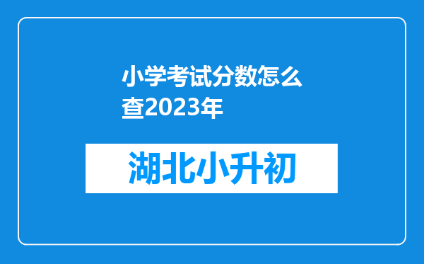 小学考试分数怎么查2023年