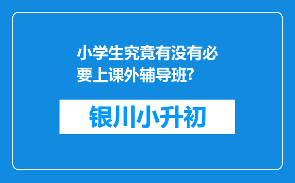 小学生究竟有没有必要上课外辅导班?