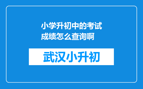 小学升初中的考试成绩怎么查询啊