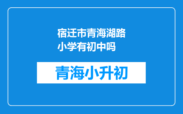 宿迁市青海湖路小学有初中吗