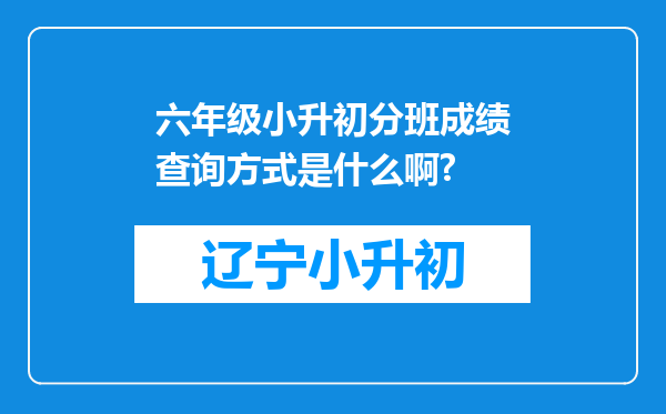 六年级小升初分班成绩查询方式是什么啊?