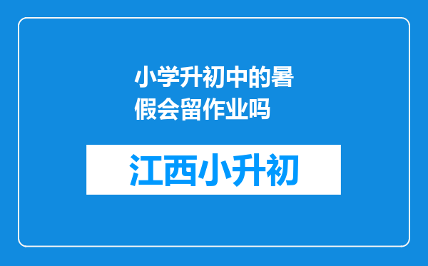 小学升初中的暑假会留作业吗