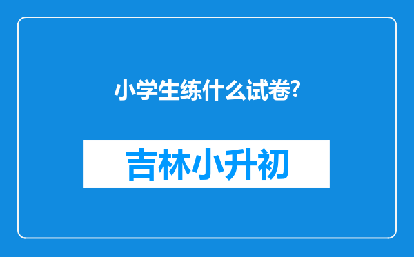 小学生练什么试卷?