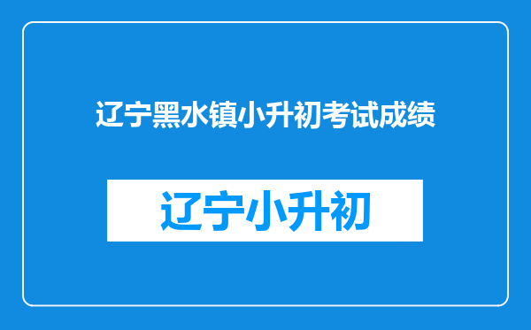 辽宁黑水镇小升初考试成绩