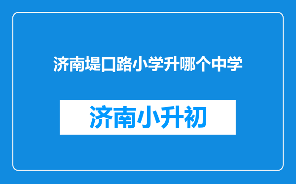 济南堤口路小学升哪个中学