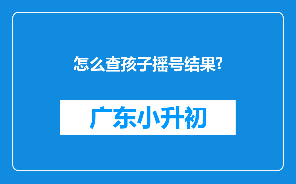 怎么查孩子摇号结果?