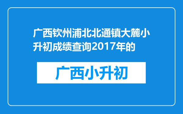 广西钦州浦北北通镇大麓小升初成绩查询2017年的