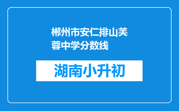 郴州市安仁排山芙蓉中学分数线