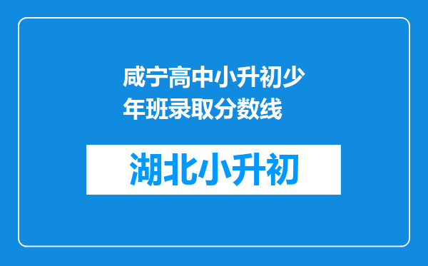 咸宁高中小升初少年班录取分数线