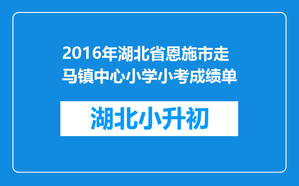 2016年湖北省恩施市走马镇中心小学小考成绩单