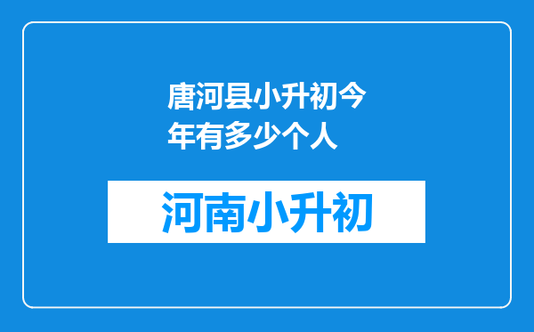 唐河县小升初今年有多少个人