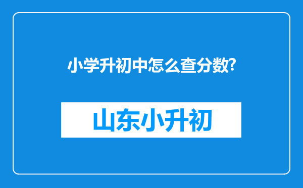 小学升初中怎么查分数?